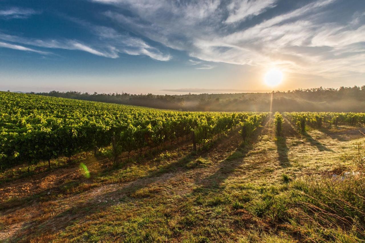 Il Palco Montepulciano, Vista Incredibile, 150Mt Da Piazza Grande Lejlighed Eksteriør billede